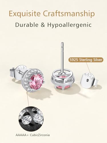 FindChic Birthstone Earrings for Women, Round/Heart/Square/Teardrop Earrings with 925 Sterling Silver Posts & Push Backs, Hypoallergenic Studs with Cubic Zirconia, 12 Months Jewelry with Gift Box - style: 02. February-Amethyst (Round)
