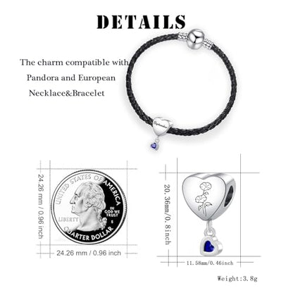 Birth Flower Heart Charm 12 Birthstone Bead for European Bracelet Necklace - style: September