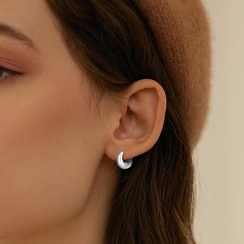 Wgoud Small Gold Hoop Earrings Set for Women, 6 Pairs 14K Gold Plated Hypoallergenic Lightweight Huggie Hoops Earrings, Trendy Cartilage Cubic Zirconia Earrings for Women Gifts. - color: 02Silver