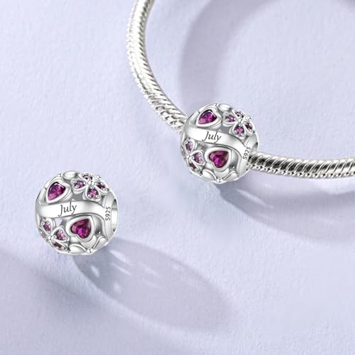 LNQOBU 925 Sterling Silve Lucky Birthstone Charm for Bracelets, With 5A Cubic Zirconia Birthday Charms Dangle Pendant Bead for Pandora Bracelets and Necklaces - color: G1-July