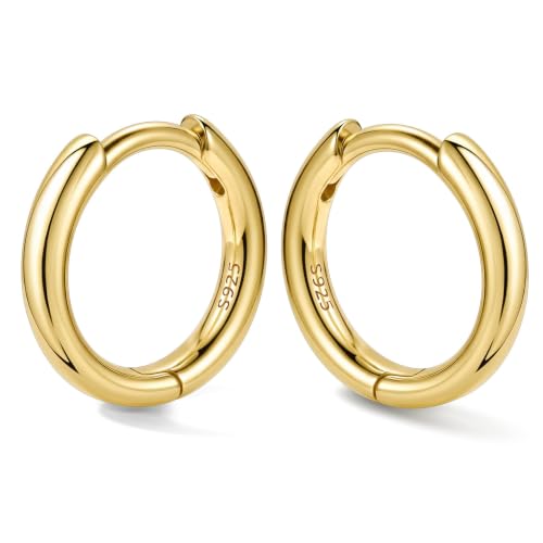 Bestyle Sterling Silver Small Hoop Earrings for Women, Hypoallergenic Silver/Black/Rose Gold/Gold Small Huggie Hoops Helix Cartilage Earring for Multiple Piercing Sleep, Size 8/10/12/14/16/18/20mm - color: 14K Gold-Sterling Silver, size: 8mm