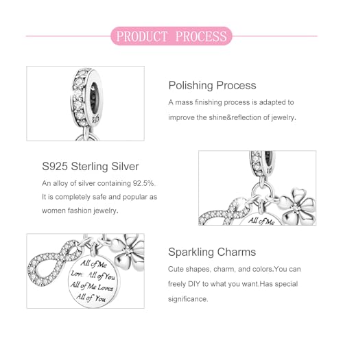 925 Sterling Silver Bead Charm for Pandora Bracelets and Necklaces,Pink Bow Cherry Butterfly Blue Ocean Pendant Bead Charms Jewelry Present Valentines Gifts for Wife/Girlfriend Women - style: All of Me Loves All of You