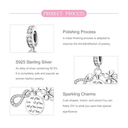 925 Sterling Silver Bead Charm for Pandora Bracelets and Necklaces,Pink Bow Cherry Butterfly Blue Ocean Pendant Bead Charms Jewelry Present Valentines Gifts for Wife/Girlfriend Women - style: All of Me Loves All of You