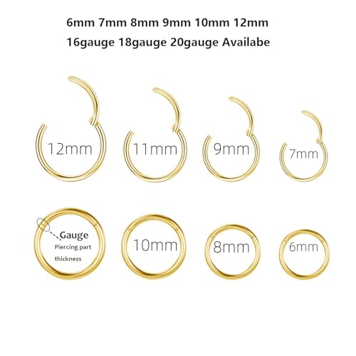 1pcs Women Men Titanium Hinged Nose Rings Hoop 20G 18G 16G 14G 12G Clicker Hoop for Nostril Septum Cartilage Helix Daith Tragus Rook Conch Lip Ear Lobe Piercings 6mm/7mm/8mm/9mm/10mm/11mm/12mm/14mm/16mm Silver-Gold-Rose Gold-Black - color: Gold, size: 12G
