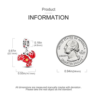 Zodiac Sign Charms for Bracelet Necklace 925 Sterling Silver Charms 12 Constellation/Horoscope Star Dangle Birthstone Beads, Birthday Jewelry Gifts for Women Men - color: Zodiac Cancer(6.21～7.22)