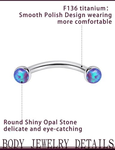 Jenxnjsjo F136 Titanium 16g 6/8/10mm Opal Eyebrow/Rook/Snug/Vertical-Labret/VCH/Snake-Eyes/Anti-Tragus/Christina/Daith/Belly-Button/Bridge/Hood/Surface Curved Barbell Piercing Jewelry for Women Men - color: Purple Opal, size: 8 mm
