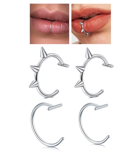QWALIT Fake Nose Ring Fake Lip Piercing Fake Lip Ring Fake Nose Ring Hoop Fake Snake Bites Fake Lip Piercings Faux Lip Rings Fake Nose Piercing Clip on Nose Ring Spring - color: D1-2 styles-silver