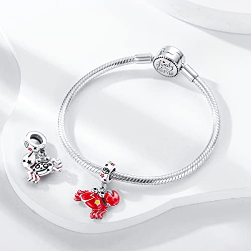 Zodiac Sign Charms for Bracelet Necklace 925 Sterling Silver Charms 12 Constellation/Horoscope Star Dangle Birthstone Beads, Birthday Jewelry Gifts for Women Men - color: Zodiac Cancer(6.21～7.22)