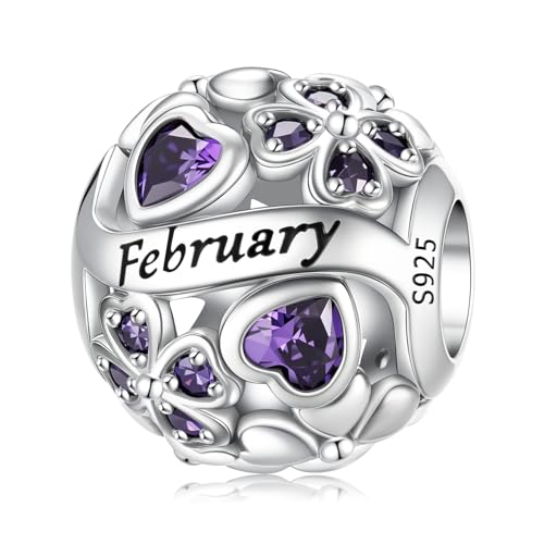 HappyStar 925 Sterling Silver Four Leaf Clover Bead Charm with Cubic Zirconia Birthstone Charms for Bracelets Dangle Pendant Compatible Pandora Bracelets Lucky Charm Birthday Gift - color: 2-February Birthstone Bead