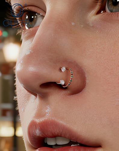 OUFER 2PCS Nose Rings Hoops, 20g Double Gem Horseshoe Threadless Nose Rings for Women, Septum Clicker Daith Tragus Helix Rook Eyebrow Lip Piercing Jewelry - color: Silver Xmas