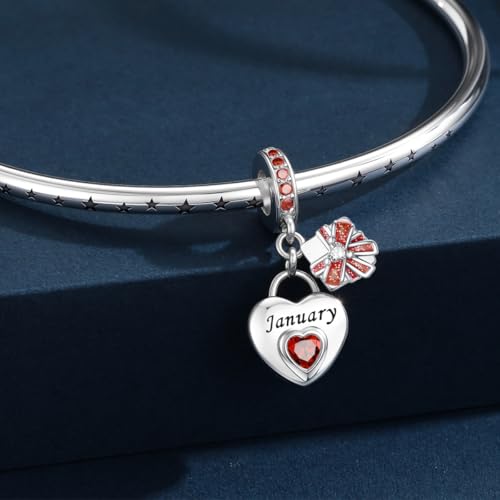 HappyStar 925 Sterling Silver Happy Birthday Bead Charm Love Heart Shape Birthstone Charms for Bracelets Dangle Pendant with 5A Cubic Zirconia Compatible Pandora Bracelets Jewelry Gift for Women - color: 1-January Birthstone Charms