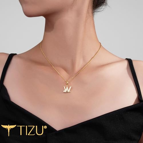 TIZU Initial Necklaces for Women - Dainty 14K Gold Plated Letter Pendant Trendy Personalized Initial A-Z Necklaces Jewelry Gift - color: Gold-W