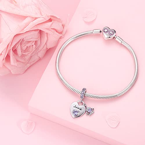 Birthstone Charms for Charms Bracelet: 925 Sterling Silver Heart Dangle Charms for Bracelets and Necklaces, Birthday Mother's Day Christmas Gifts For Women. - color: June