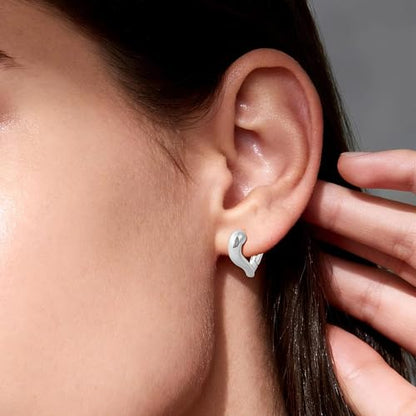 Heart Shaped Hoop Earrings for Women | 14k Gold Silver Plated, Small Heart Earring, Huggie Hoops, Lightweight, Jewelry Gifts - color: 01Heart-Silver