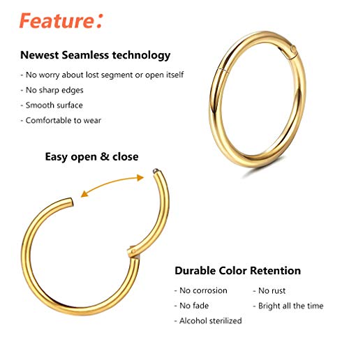 4Pcs 16G 18G 20G Surgical-Steel-Piercing-Ring-Nose-Rings-Hinged-Hoop-Earrings,6mm 8mm 10mm 12mm Seamless Stainless Steel Clicker Eyebrow Septum Piercing Hoop,Sliver Black Gold Rose Gold Rainbow Body Jewelry Set - color: 16G Gold