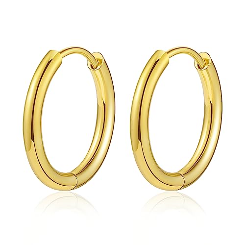 Titanium Huggie Hoop Earrings Hypoallergenic Nickel Free Hinged Sleeper Earrings for Sensitive Skin Cartilage Helix Lobes - style: gold 12mm