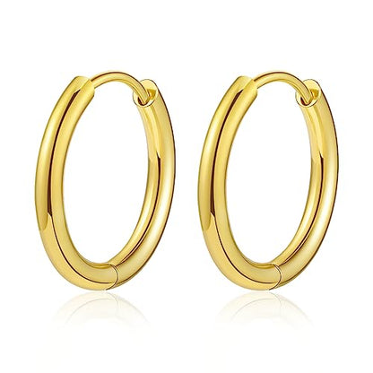 Titanium Huggie Hoop Earrings Hypoallergenic Nickel Free Hinged Sleeper Earrings for Sensitive Skin Cartilage Helix Lobes - style: gold 12mm