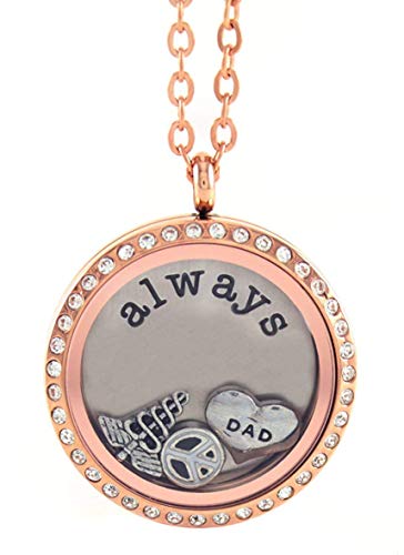 BG247 Stainless Steel 30mm Glass Floating Memory Living Locket Circle Necklace