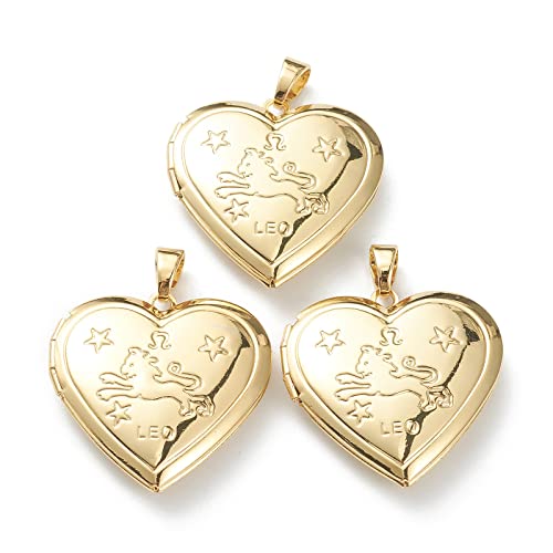 Craftdady 18K Gold Plated Brass Photo Locket Frame Pendants Charms for Necklaces Personalized Jewelry Crafts Making - size: 29x28.5mm Heart with Lion