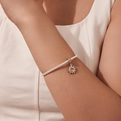 Celestial Bead Charms for Bracelets, Star Moon Dreamcatcher Dangle Charms, Silver Tone Copper, Glass Resin CZ Accents, Charm Beads for Women Jewelry Making, Gift Box Included - color: Golden Sun Dangle Charm