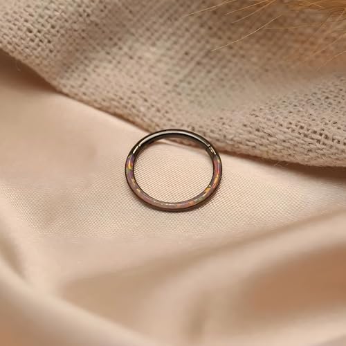 Opal Septum Jewelry Surgical Steel Septum Ring Daith Rook Tragus Earring | Hinged Segment Nose Hoop Ring,Hypoallergenic Septum Piercings for Women,Conch Cartilage Helix Jewelry,Diameter 6mm to 10mm - color: Black,Purple Opal, size: 16G 10mm