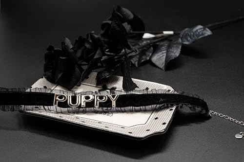 Women's Black Velvet Lace Letter Choker Collar for Halloween, 15-inch | Made of Velvet Lace Ribbon and Silver Letter Charms, Lobster-claw Closure, Daily Gothic Style, Avoid Water & Perfume - color: PUPPY