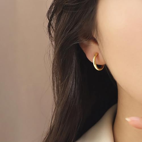 2 Pairs Clip On Hoop Earrings for Women 14K Gold Plated Non Pierced Small Clip On Huggie Hoops Adjustable No Piercing Fake Earrings