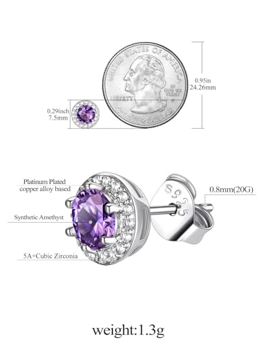 FindChic Birthstone Earrings for Women, Round/Heart/Square/Teardrop Earrings with 925 Sterling Silver Posts & Push Backs, Hypoallergenic Studs with Cubic Zirconia, 12 Months Jewelry with Gift Box - style: 02. February-Amethyst (Round)