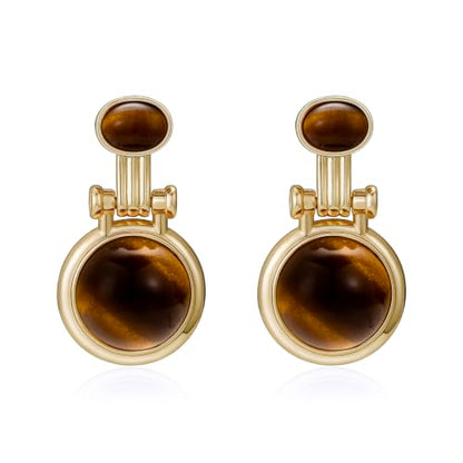 Dr's gift Chunky Leopard Print Earrings for Women 14K Gold Plated Statement Huggie Hoop Earrings Brown Acrylic Tortoise Resin Cheetah Trendy Jewelry - color: tiger tye