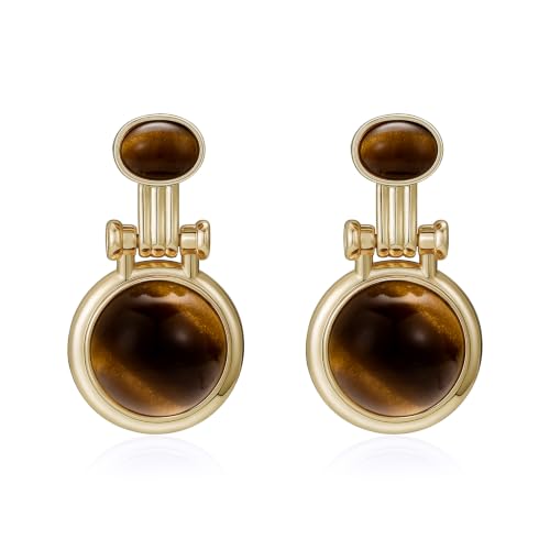 Dr's gift Chunky Leopard Print Earrings for Women 14K Gold Plated Statement Huggie Hoop Earrings Brown Acrylic Tortoise Resin Cheetah Trendy Jewelry - color: tiger tye