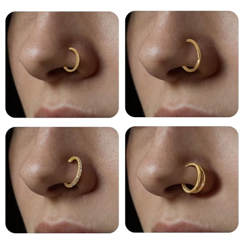 4PCS Nose Ring Hoop 316 Surgical Steel Double Hoop Septum Rings 18g 16g Piercing Jewelry with Zircon Spiral for Women Men Nose Septum Lip 8mm