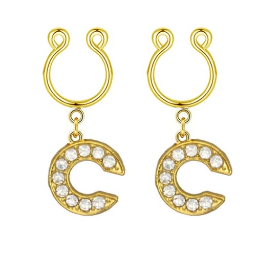 2Pcs Fake Nipple Rings Name Initial Letter Nipple Clamps for Women Non Piercing Beginner Cubic Zirconia Non Piercing Nipple Jewelry - color: C