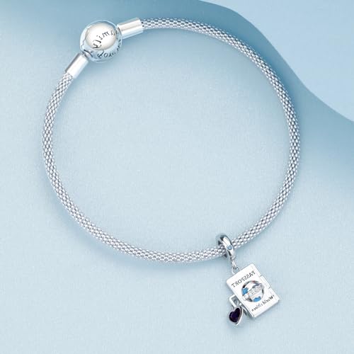 Gold Letter Charms A-Z for Bracelets 925 Sterling Silver Alphabet Initial Charms Beads Jewelry Gifts for Women - color: Z3