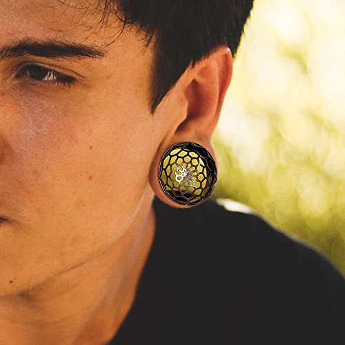 1 Pair New Classic gauges Ear Plugs Tunnels Hypoallergenic 316 Stainless Steel Ear Gauges 8mm-25mm (0G-1") Body Piercing Jewelry - color: Black-1277, size: 5/8" (16mm)