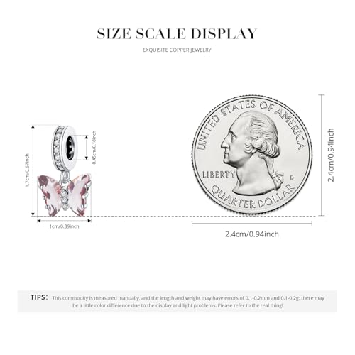 BISAER 925 Sterling Silver Charms for Bracelets Cat Dog Sloth Animal Beads Butterfly Fairy Heart Dangle Pendant Charms - color: Butterfly CZ