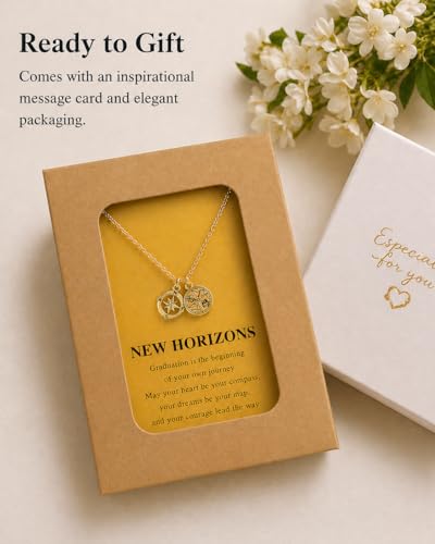 Zealmer Dainty 18K Gold Plated Compass World Map Pendant Necklace Graduation Gift for Friends - color: Compass