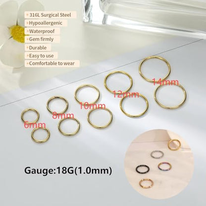 18G Nose Hoop Rings Surgical Steel Hinged Segment Clicker Rings 16G Septum Lip Rings 10 PCS Conch Daith Rook Cartilage Tragus Helix Sleeper Lobe Hoop Earrings Piercing Jewelry for Women 6mm to 16mm - color: Rainbow:10 pcs