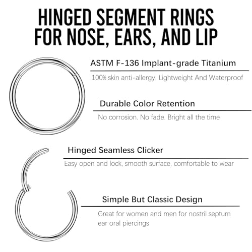 2Pcs Titanium Nose Rings 20G 18G 16G 14G Nose Rings Hoops Diameter 5mm to 12mm Silver-Gold-Rose Gold-Black Cartilage Helix Tragus Daith Rook Hoop Earrings Hinged Segment Septum Clicker Body Piercing Jewelry - color: Silver