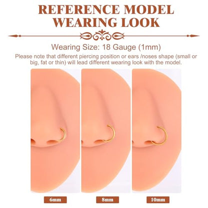 3Pcs Nose Rings Hoops for Women Men, 18G Nose Hoops Gold/Silver | Hinged Clicker Septum Rings Tragus Conch Helix Daith Lip Body Piercing Jewelry 6/8/10mm - color: 3pcs/gold/18g