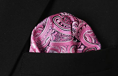 Alizeal Mens Gradient Paisley Necktie and Pocket Square Set | Elegant Design Perfect for Weddings Banquets Business Formal Events - color: 143-pink