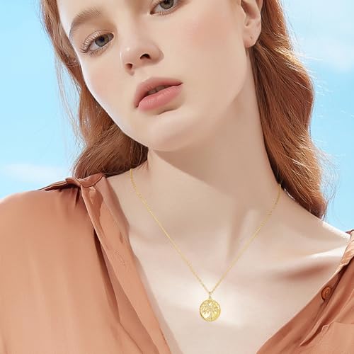 TUGHRA Mother's Day Gifts Gold Locket Necklaces for Women, 925 Sterling Silver Heart Photo Lockets Memorial Keepsake Jewelry Gift for Mom, Wife, Daughter - style: 0372-Gold