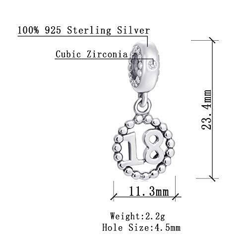 5,10,15,16,17,18,20,21,25,30,35,40,42,49,50,55,60,65,70 Number Charms for European Bracelet, 925 Sterling Silver Birthday Pendant Beads with CZ, Gifts for Mothers Day/Anniversary - color: Silver Color Number 18 Charm