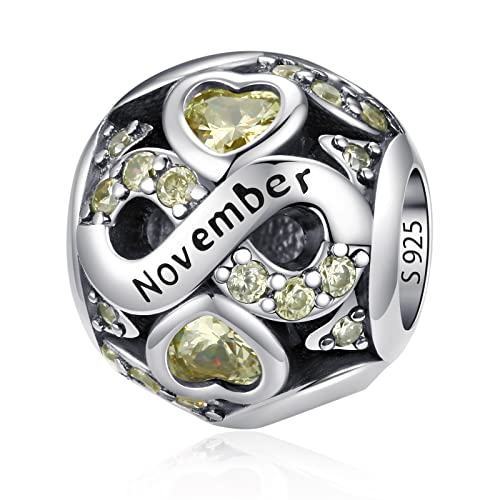 HappyStar 925 Sterling Silver Birthstone Charms fits Charms Bracelets for Woman，with 5A Cubic Zirconia Dangle Pendant Bead,Happy Birthday Charms for Bracelet and Necklace - color: D2 Infinity Symbol November Birthstones
