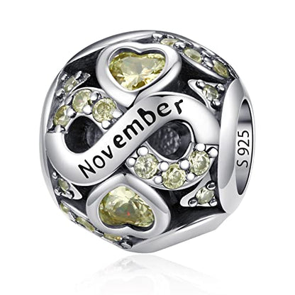HappyStar 925 Sterling Silver Birthstone Charms fits Charms Bracelets for Woman，with 5A Cubic Zirconia Dangle Pendant Bead,Happy Birthday Charms for Bracelet and Necklace - color: D2 Infinity Symbol November Birthstones
