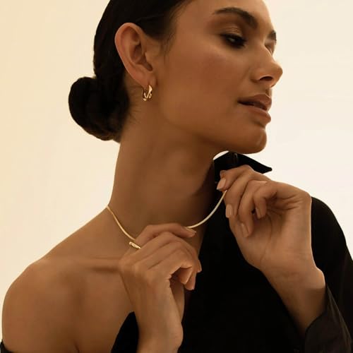 14K Gold Plated Chain Necklace for Women Trendy - 925 Sterling Silver Clasp | Waterproof Dainty Choker Necklace, 14/16/18/20 inch Thin Simple Box Figaro Chain Herringbone Necklace Jewelry for Women Men - color: Snake