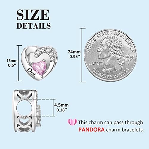 SEVENWELL Jan-Dec Birthstone Charms for Pandora Bracelets, Heart Charm | Fits Most European Charm Bracelets, Sparkling Heart CZ, Birth Flower Engraved, Gift Ready, Nickel-Free - color: October Birthstone Charm
