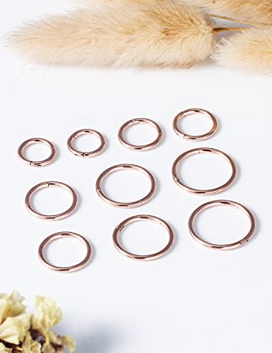 Vsnnsns 14G 16G Septum Nose Rings Hoops Lip Ring Piercing Jewelry 316L Surgical Steel Hinged Segment Clicker Cartilage Tragus Helix Conch Rook Daith Lobe Earrings Hoops Piercing Jewelry for Women Men - color: 14G-Rose Gold