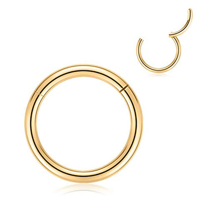 FUNLMO 316L Surgical Steel Hinged Segment Nose Ring Hoop for Nose Septum Cartilage Helix Tragus Conch Rook Daith Lobe Lip Piercings 1 Pc - color: Gold
