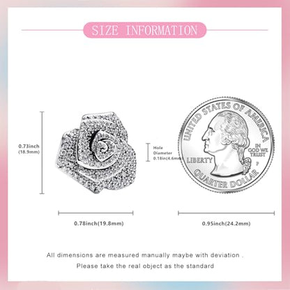 925 Sterling Silver Bead Charm for Pandora Bracelets and Necklaces,Pink Bow Cherry Butterfly Blue Ocean Pendant Bead Charms Jewelry Present Valentines Gifts for Wife/Girlfriend Women - style: Big Silver Sparkling Rose