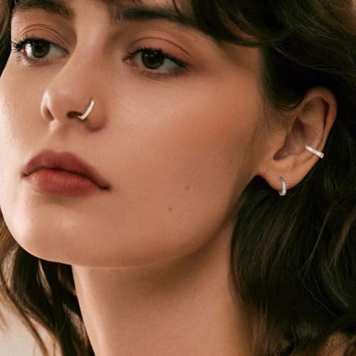 FUNLMO 316L Surgical Steel Hinged Segment Ring Conch Helix Septum Piercing Jewelry Nose Ring Hoop Cartilage Huggie Earring Baguette Gems Thick Hoop Earring - color: Gold